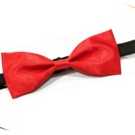 BOW TIE 3